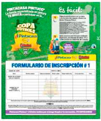 btl-pintuco